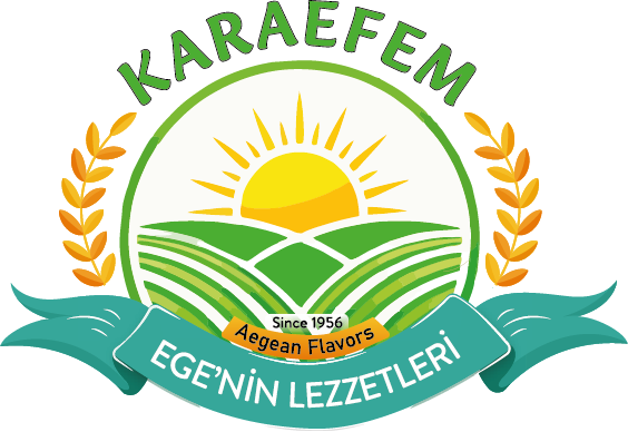 Turgay Karaefem 